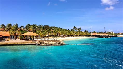 Harbour Village Bonaire Coral Reef